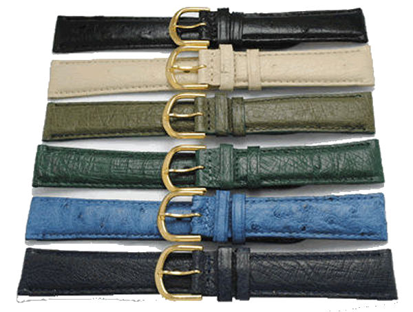 bracelet montre autruche véritable