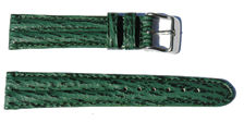 bracelet-montre-dj-requin-veritable-vert16-Bracelet montre requin double joncs  :: + infos - Devis 